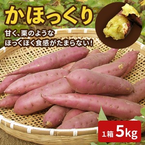 [先行予約]かほっくり 5kg (1箱) | さつまいも さつまいも