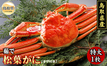 鳥取県産　浜茹で松葉がに　特大（タグ付）【期間限定】_T2600091