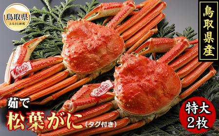 鳥取県産　浜茹で松葉がに　特大2枚（タグ付）【期間限定】_T2600092