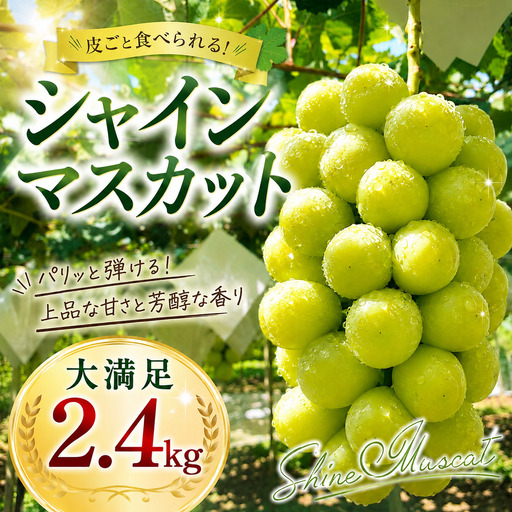 [2026年発送★先行予約] 見晴し園 農家直送!大満足シャインマスカット2.4kg!いっぺんよばれてみろし♡ 004-017-26y