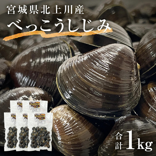 北上川の べっこうしじみ 1kg 冷凍 しじみ汁 味噌汁 小分け 宮城県 石巻市
