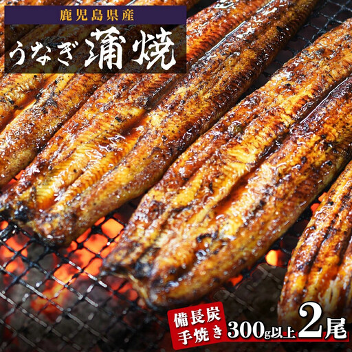 鹿児島県大隅産 うなぎ 備長炭手焼蒲焼2尾(合計300g以上)|うなぎ