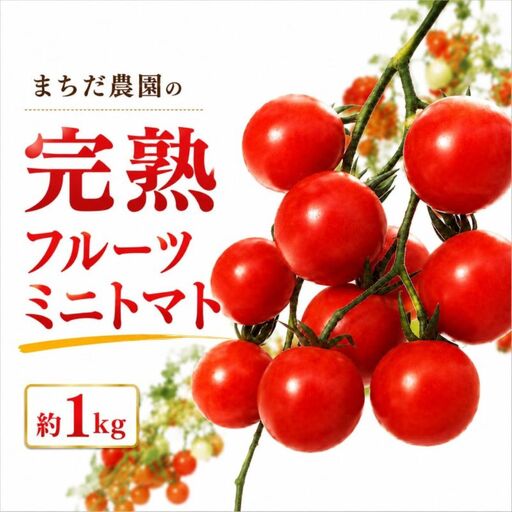 [2026年11月中旬〜発送] トマト フルーツミニトマト 1kg 高糖度 フルーツ ミニトマト