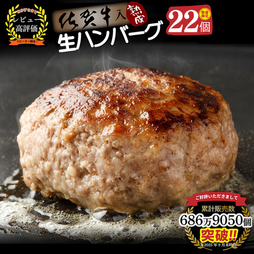 【14日以内発送！数量限定】佐賀牛入り ハンバーグ 22個 2.6kg(120g×22個)(H083106)