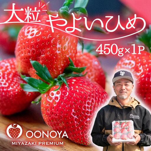 [先行予約]苺大野屋 大粒厳選いちご やよいひめ 450g 宮崎県西都市[28-2a]