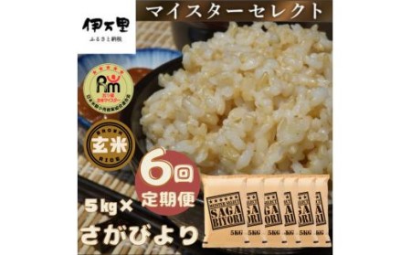 令和7年産 【定期便】 玄米 さがびより 5kg×6回 999-B1063