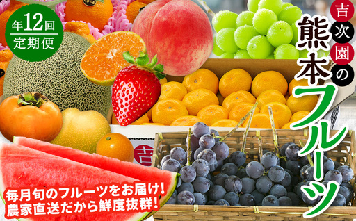 【12カ月定期便】熊本フルーツ定期便12カ月｜果物 くだもの 苺 いちご みかん 柑橘 メロン すいか 桃 ぶどう 梨 柿 ジャム