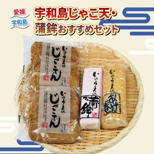 練り物 手押し じゃこ天 蒲鉾 おすすめ セット 井上蒲鉾本舗 C015-003003