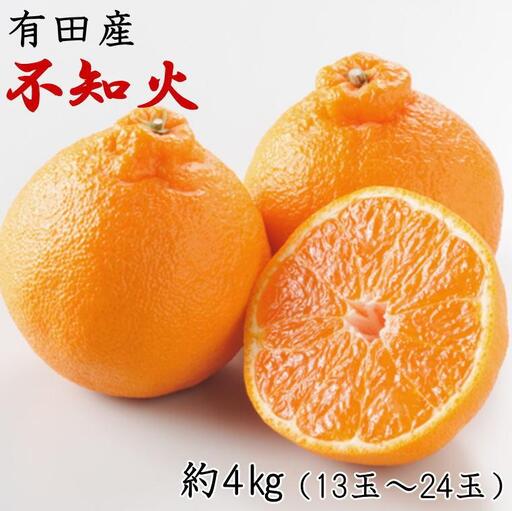 ［濃厚］有田の不知火約4kg（13～24玉）★2027年2月中旬頃より順次発送［TM32w］