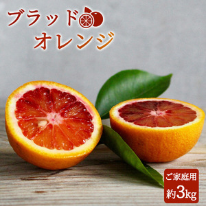 希少な柑橘!紀州有田産ブラッドオレンジ約3kg 【ご家庭用】※2027年3月上旬頃〜3月下旬頃に順次発送 (お届け日指定不可)【uot771】