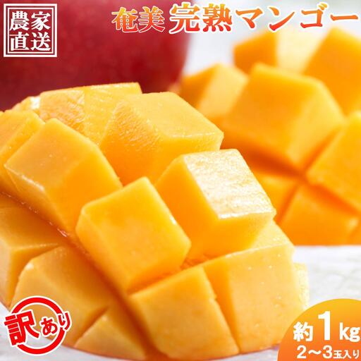 [2026年 先行予約]奄美完熟マンゴー 訳あり 家庭用 約1kg(2〜3玉入り) | マンゴー