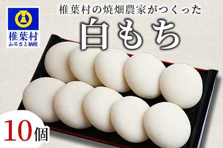 焼畑農家がつくった 白もち 10個[日本三大秘境の地「椎葉村」からお届け]餅 もち モチ 白餅