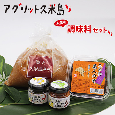 味噌 [アグリット久米島]人気の調味料セット みそ