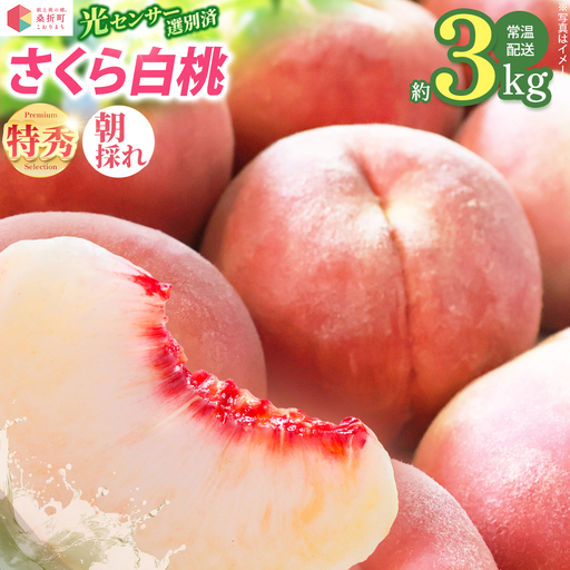 もも[さくら・2026年産]特秀3kg(8〜11玉)桑折町振興公社 桃 [07301-0187]