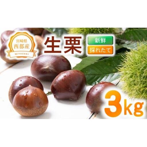 【先行予約】新鮮朝どれ生栗 3kg 西都市産＜49-6a＞