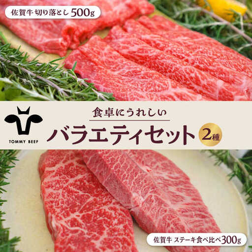 佐賀牛 食卓にうれしいバラエティ セット (切り落とし 500g&ステーキ食べ比べ 300g) 佐賀セントラル牧場 
