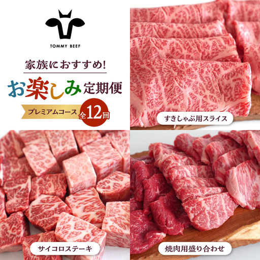 【12回定期便】しろいし牛 家族向け お楽しみ 定期便（プレミアムコース） 佐賀セントラル牧場 [IAH214]