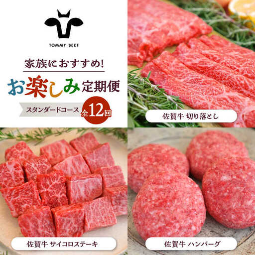 【12回定期便】佐賀牛 少人数 家族向け お楽しみ 定期便 / 牛肉 [IAH217]