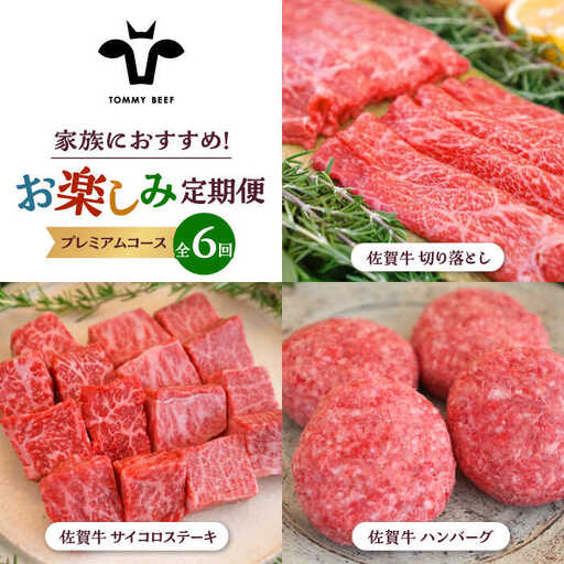 【6回定期便】佐賀牛 家族向け お楽しみ 定期便 / 牛肉 [IAH219]