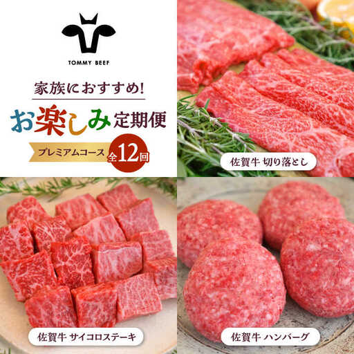 【12回定期便】佐賀牛 家族向け お楽しみ 定期便 / 牛肉 [IAH220]