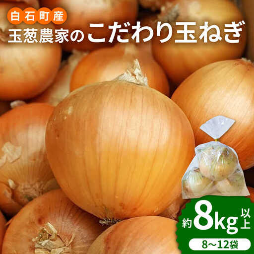 [先行予約 2027年5月〜発送]小分け 玉ねぎ 約8kg / 玉ねぎ 