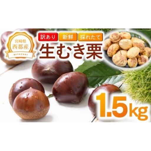 [訳あり] 新鮮朝どれ 生むき栗 1.5kg 西都市産[先行予約][49-8a]