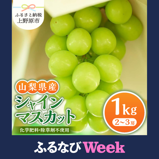 【ふるなびWEEK対象】山梨県産シャインマスカット 1kg（2～３房）【化学肥料、除草剤不使用】ぶどう 葡萄 フルーツ 果物 農園直送