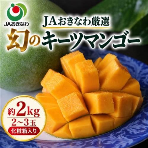 【2027年8月上旬から順次発送・贈答用】JAおきなわ厳選 幻のキーツマンゴー約2kg(2～3玉)【配送不可地域：離島】【1390927】