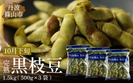 【早期予約/2026年10月下旬発送】令和8年産 晩摘み 完熟  丹波黒枝豆(500g×3個・枝なし)  大粒 黒枝豆 丹波篠山産  小分け Q016