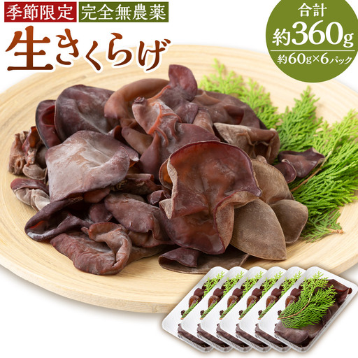 ＜非公開＞【先行予約】UIC 季節限定！農薬不使用！生きくらげ (約60g×6パック) 2026年8月下旬から11月上旬 出荷予定