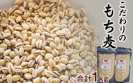 岩手県産 もち麦 はねうまもち 1kg (500g×2袋) [ 十一代目藤助] / もちむぎ 雑穀 雑穀米 1キロ もち麦ご飯 ご飯 ごはん 麦ごはん 麦 お粥 おかゆ 主食 混ぜるだけ 混ぜて炊くだけ 簡単 小分け 便利 ジッパー付き 農家直送 産地直送