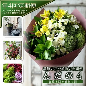 [4回定期便]「季節の花や植物の定期便 んだの4」