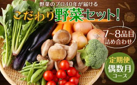 [定期便 偶数月コース]野菜のプロ40年が届けるこだわり野菜セット! 7〜8品目 詰め合わせ [2026年2月上旬より発送開始]