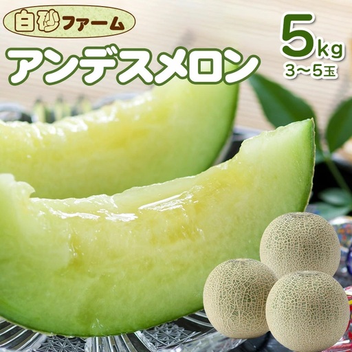 [令和9年産] アンデスメロン 約5kg(3〜5玉) 山形県鶴岡産 庄内砂丘メロン 白砂ファーム