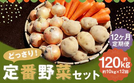【定期便 12回コース】定番野菜セット定期便 どっさり！約10kg×12回コース じゃがいも 玉ねぎ にんじん かぼちゃ