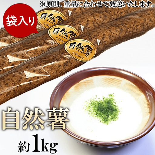 自然薯 約1kg ( カット済 ) ※重量（ 約1kg ）に合わせてお届け 2026年12月～2027年3月ごろ発送予定