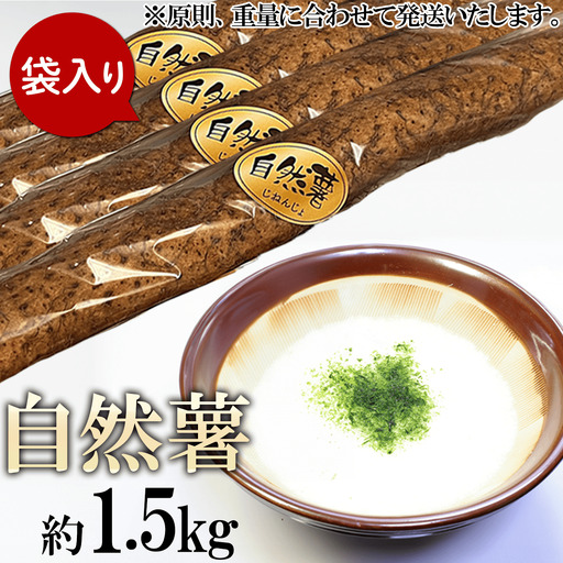 自然薯 約1.5kg ( カット済 ) ※重量（ 約1.5kg ）に合わせてお届け 2026年12月～2027年3月ごろ発送予定
