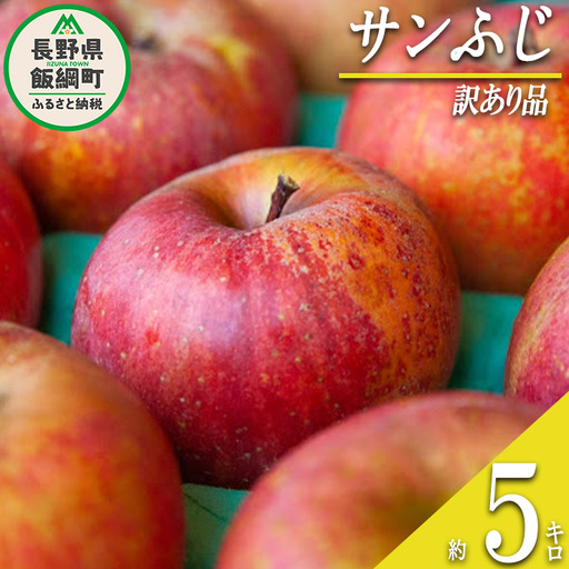 [ 訳あり品 ] りんご サンふじ 訳あり 5kg 2026年12月上旬頃から2027年2月下旬頃まで順次発送予定 ふるさと振興公社 林檎 リンゴ 長野県 飯綱町 [1562]