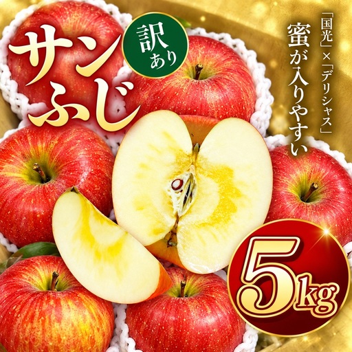 りんご サンふじ 令和8年11月下旬発送 信州のサンふじ 訳あり 約5キロ！【010-a3】
