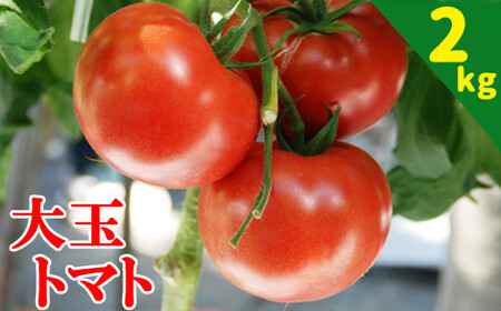 [2026年7月上旬発送開始予定] 岩手県産 こだわり 大玉トマト 約2kg / 大玉 とまと トマト 新鮮 とまと 旬 サラダ トマトジュース 夏野菜 旬野菜 季節野菜 期間限定 季節限定 お 産地直送 農家直送 美味しい おいしい 人気 八幡平市産 国産 おすすめ オススメ [田村和大]