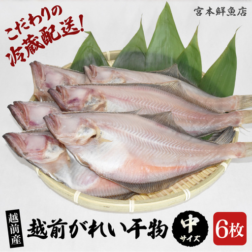 [先行予約]「冷蔵直送」 国産干物 越前産赤かれい (中)6枚 熟成の旨味[2026年9月以降順次発送] [e43-a005]