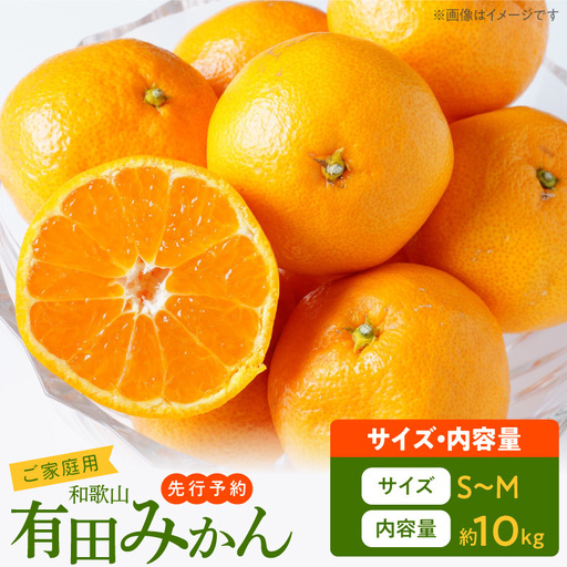 【2026年先行予約】ご家庭用　有田みかん 約10kg (S、Mサイズ)【湯浅町】_AT6322