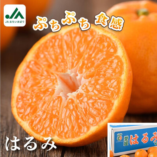[先行予約]はるみ 5kg S〜2L 愛媛県今治市