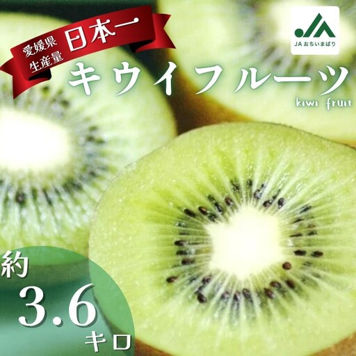 [先行予約]キウイフルーツ L〜M 30〜33個