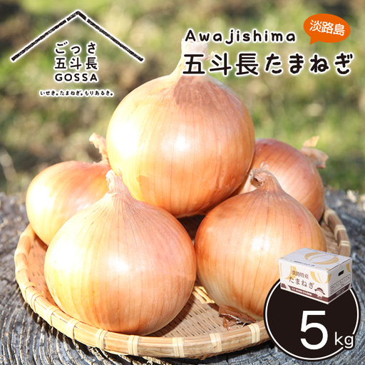 五斗長玉ねぎ 10kg　玉ねぎ