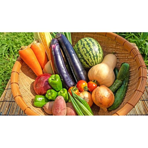 [定期便/3回/毎月お届け]宗像とれたて 野菜とたまごの定期便[オアシス]