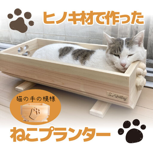 ねこ プランター 木製 （模様 猫の手） インテリア ねこプランター