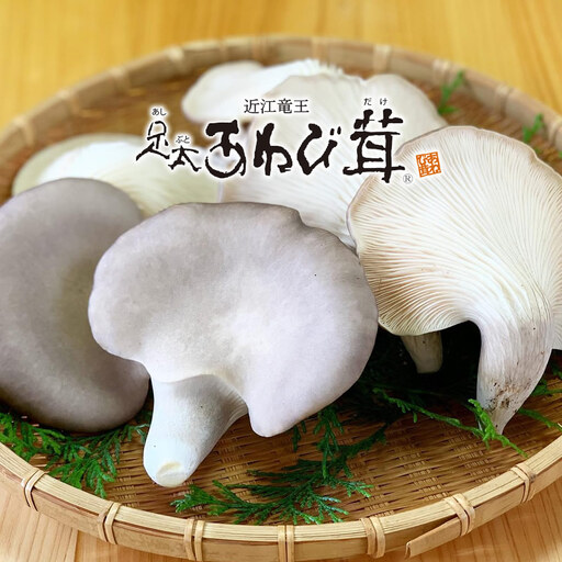 特選 竜王 足太あわび茸 生 1kg