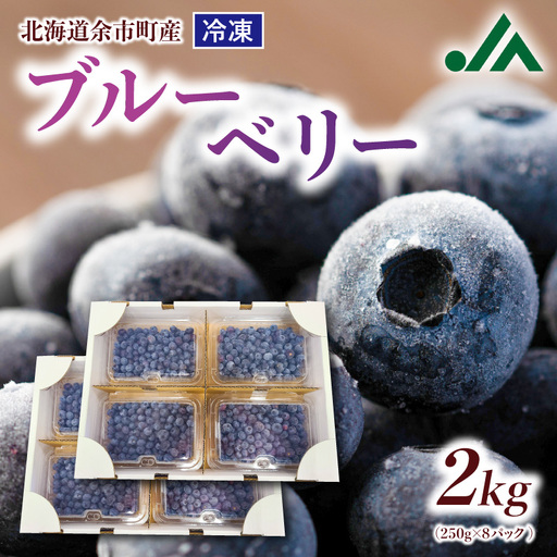 冷凍ブルーベリー 250g×4パック×2箱 合計2kg 北海道産 甘くてジューシー 余市産 冷凍 栄養価 冷凍フルーツ 果物__Y010-0345