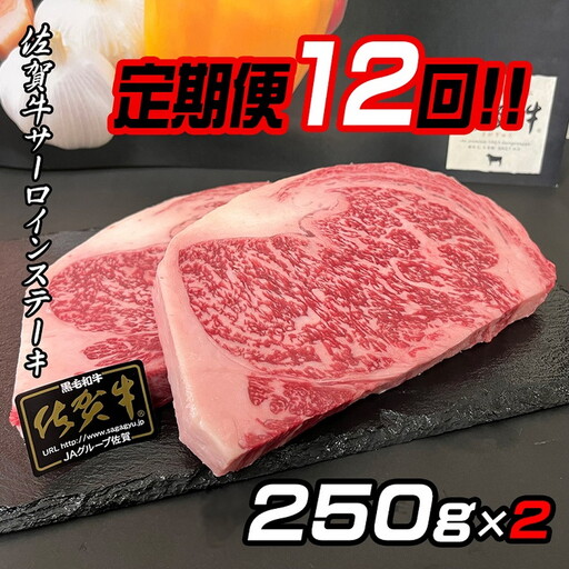[定期便12回]佐賀牛ステーキ 250g×2:C345-004